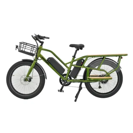 Geobyke Cargo-Passenger E-Bike.