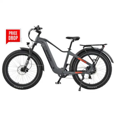 Geobyke Comfy E-Bike